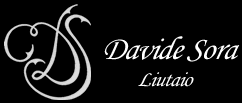 logo Davide Sora - Liutaio - Cremona (Italy)